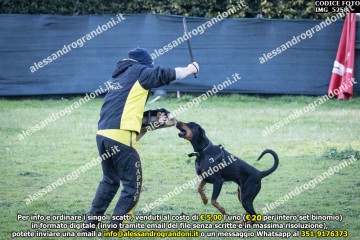 IMG_5258.jpg