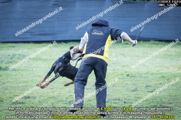IMG_5260.jpg