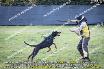 IMG_5264.jpg