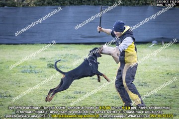 IMG_5265.jpg