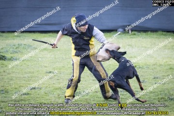 IMG_5268.jpg