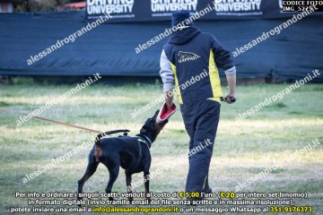 IMG_5275.jpg