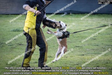 IMG_5281.jpg