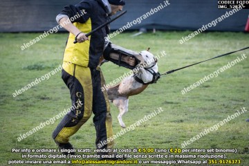IMG_5282.jpg