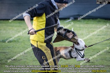 IMG_5283.jpg
