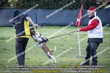 IMG_5287.jpg