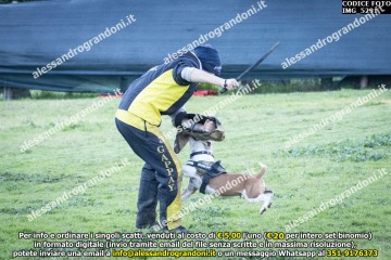 IMG_5291.jpg