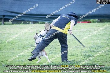 IMG_5294.jpg