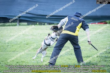 IMG_5295.jpg