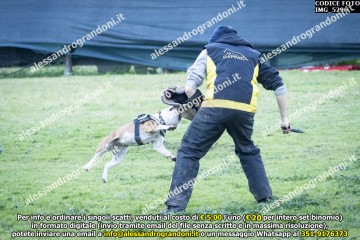 IMG_5296.jpg