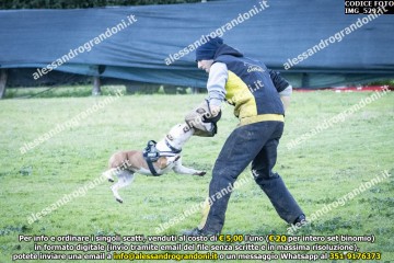 IMG_5297.jpg