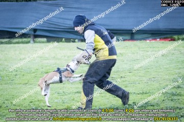 IMG_5298.jpg