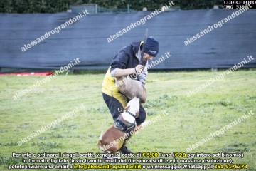 IMG_5301.jpg