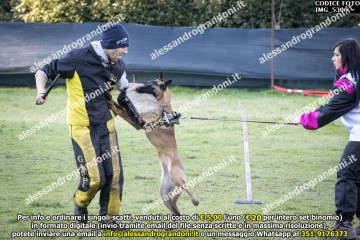 IMG_5306.jpg