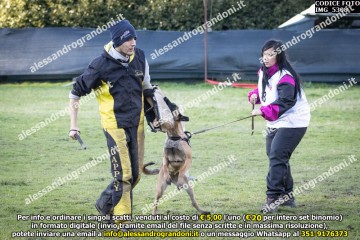 IMG_5308.jpg