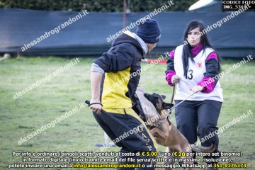 IMG_5310.jpg