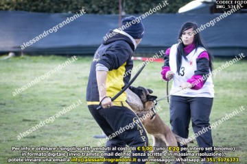 IMG_5311.jpg