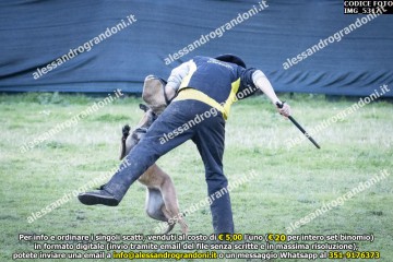 IMG_5317.jpg