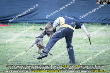 IMG_5318.jpg