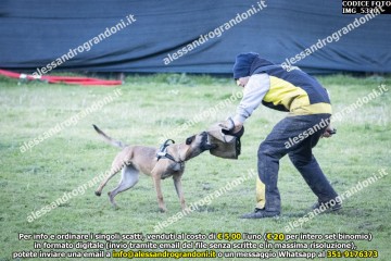 IMG_5320.jpg