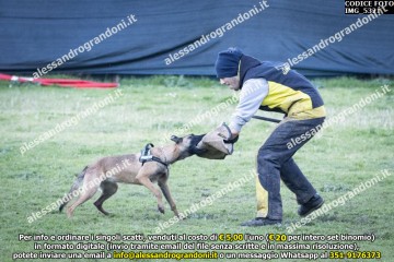 IMG_5321.jpg