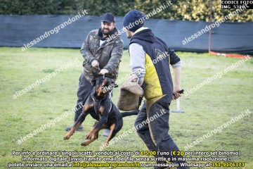 IMG_5326.jpg