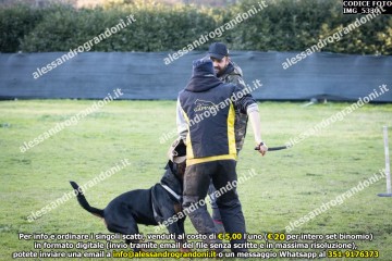 IMG_5330.jpg