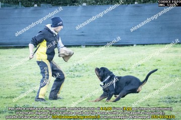 IMG_5331.jpg