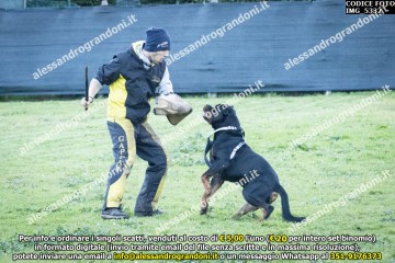 IMG_5332.jpg