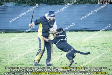IMG_5333.jpg
