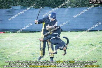 IMG_5334.jpg