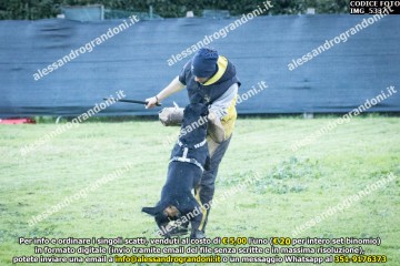 IMG_5337.jpg