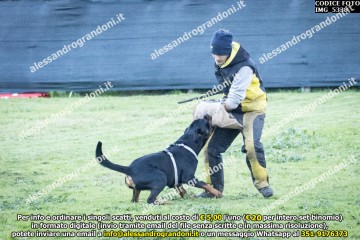 IMG_5338.jpg
