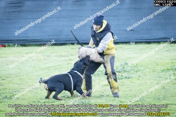 IMG_5339.jpg
