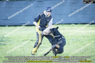 IMG_5340.jpg