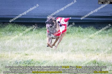 IMG_5342.jpg