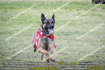IMG_5345.jpg