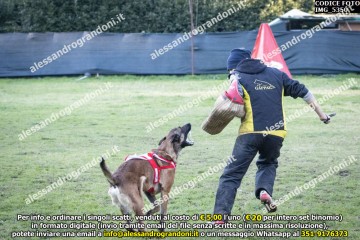 IMG_5350.jpg
