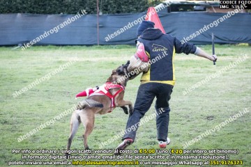 IMG_5351.jpg