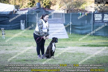 IMG_5357.jpg