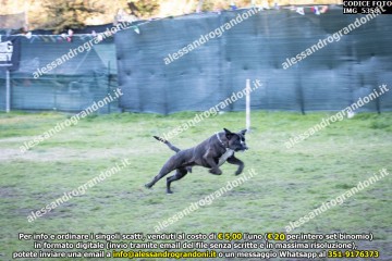 IMG_5358.jpg