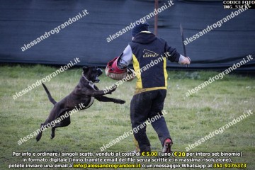 IMG_5373.jpg