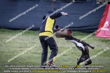IMG_5376.jpg