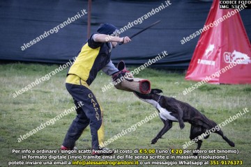 IMG_5377.jpg