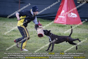 IMG_5378.jpg