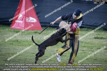 IMG_5379.jpg