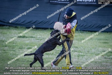 IMG_5381.jpg
