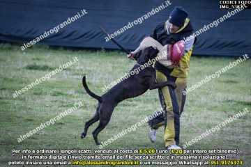 IMG_5382.jpg
