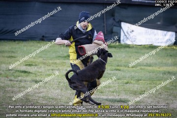 IMG_5383.jpg
