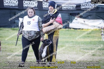 IMG_5386.jpg